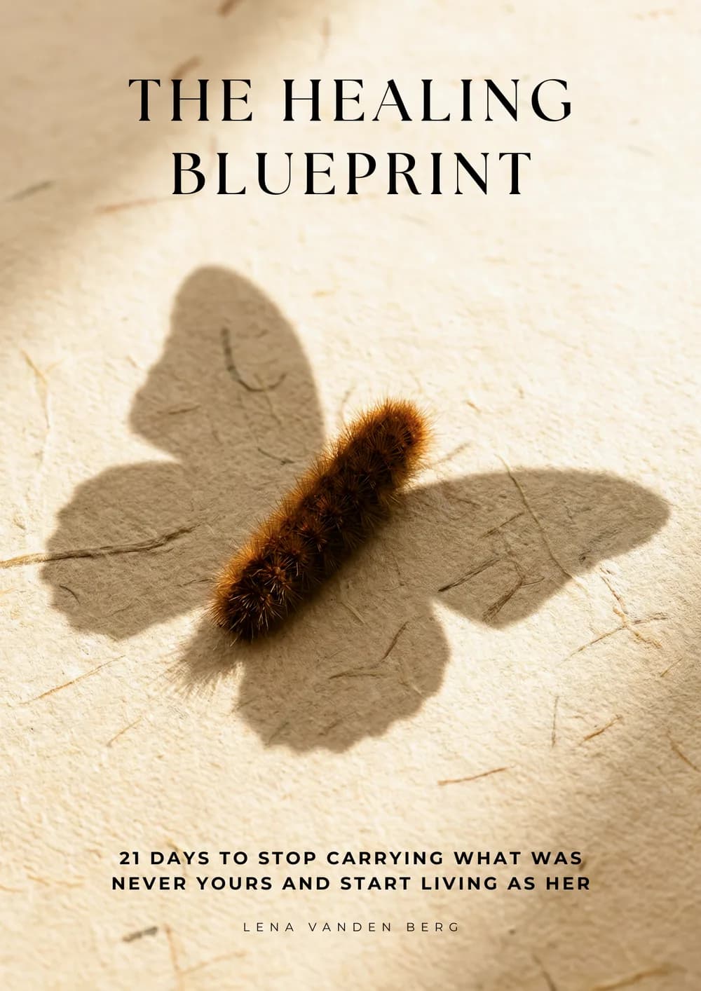 The Healing Blueprint cover